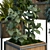 Sleek Greenery Box 190: Easy and Elegant 3D model small image 5