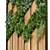 Vertical Greenery Set: Ultimate 3D Plant Collection 3D model small image 2