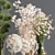 Elegant Greenery Bouquet 3D model small image 6