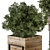 315 Indoor Plant Set: Wood Box 3D model small image 4