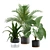 Exotic Indoor Plants Pack 3D model small image 1