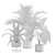 Exotic Indoor Plants Pack 3D model small image 5