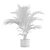 Exotic Indoor Plants Pack 3D model small image 7