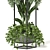 Title: Rusty Concrete Pot Shelf with Indoor Plants 3D model small image 4