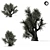 Majestic Olive Tree 01 3D model small image 3