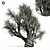 Majestic Olive Tree 01 3D model small image 4