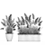 Tropical Plant Collection in Concrete Vase 3D model small image 7