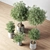 Indoor Oasis Plant Set 3D model small image 9