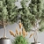 Modern Indoor Set of 16 Plants 3D model small image 8