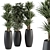 314 Indoor Plant Set in Round Stand 3D model small image 1