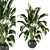 Lush Indoor Plants Set 126 3D model small image 2