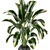 Lush Indoor Plants Set 126 3D model small image 3