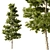 Europine Collection: Tall & Detailed 3D model small image 3