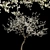 Prunus Salicina Plum Tree 3D model small image 1
