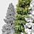 Outdoor Visual Spruce 3D model small image 4