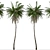 Colombian Quindio Wax Palm Set 3D model small image 5