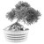 Mini Bonsai Tree - Vol. 3 3D model small image 3