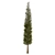 Fine Cupressus Tree - 3D Model 3D model small image 3