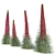 Tall Echium Wildpretii Quartet 3D model small image 3