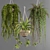 Premium Hanging Indoor Plants Collection 3D model small image 2