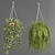 Premium Hanging Indoor Plants Collection 3D model small image 3