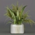 Indoor Pine Flower Bouquet - Collection 268 3D model small image 2