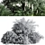 Premium Bush04 2015 Model: Vray/Corona Compatible 3D model small image 6