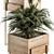 318 Indoor Plant Set in Wooden Box 3D model small image 2