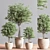 Indoor Greenery Deluxe Set 3D model small image 3