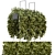 Elegant Metal Box With Hanging Plants 3D model small image 1