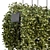 Elegant Metal Box With Hanging Plants 3D model small image 3