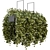 Elegant Metal Box With Hanging Plants 3D model small image 5