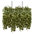 Elegant Metal Box With Hanging Plants 3D model small image 6