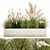 Exotic Plant Assortment: Indoor & Outdoor Ornamentals 3D model small image 1