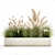 Exotic Plant Assortment: Indoor & Outdoor Ornamentals 3D model small image 6