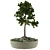 Miniature Bonsai Plant Kit 3D model small image 1