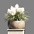 70 Pot Pampas Grass: Indoor/Outdoor Vase Stand 3D model small image 2