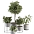 308 Indoor Plant Set: Tree & Plant in Black Pot 3D model small image 1