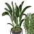 Modern Indoor Plants Set for Ferm Living Bau Pot 3D model small image 2