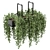 Metalbox Indoor Hanging Plants Set 3D model small image 1