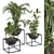 Sleek Greenery: Indoor Plant Set 3D model small image 1