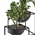 Sleek Greenery: Indoor Plant Set 3D model small image 3