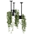 Metal Box Hanging Plant Set 3D model small image 3