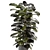 Ferm Living Indoor Plants Set - Bau Pot Large 3D model small image 4