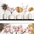 Dried Floral Decor Collection 3D model small image 1