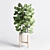 Exquisite Indoor Plant Collection with 155-Pot Palm, Ravenala, Ficus, and Rubber-lyrata in Wooden Vase 3D model small image 4