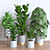 Green Oasis Plant Collection 3D model small image 1