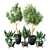 Indoor Greenery: Vol. 21 3D model small image 1