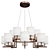 Elegant CPRN Homood Chandelier 3D model small image 1