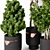 Modern Green Indoor Plant: Vol. 22 3D model small image 2